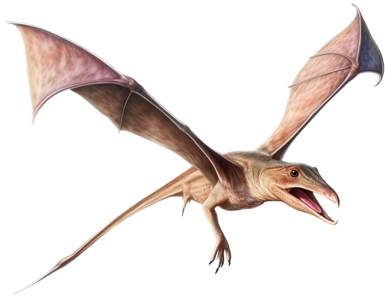 Pteranodon flying with . png