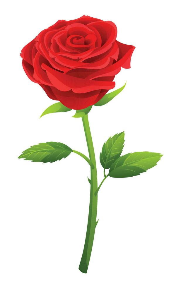 Single red rose flower vector illustration isolated on white