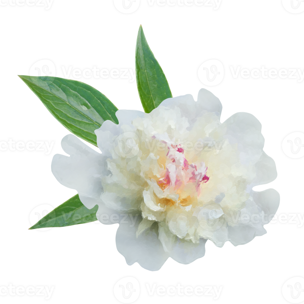 white flower element png