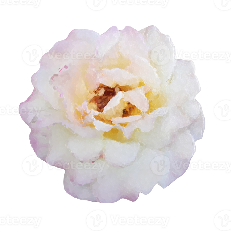 rose  flower element png