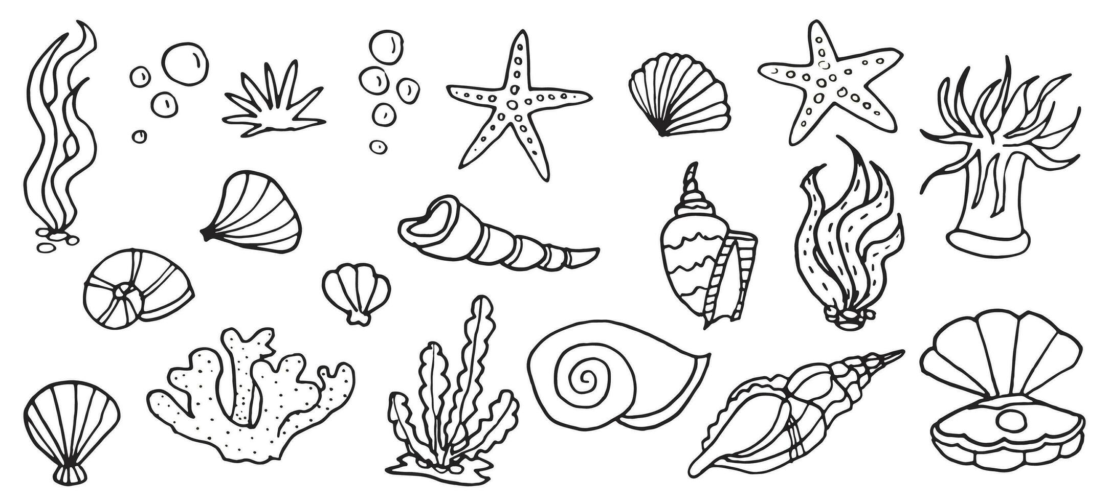 Ocean underwater shell doodle set, tropical  outline sea cartoon icons for vacation textile, isolated on white kit vector