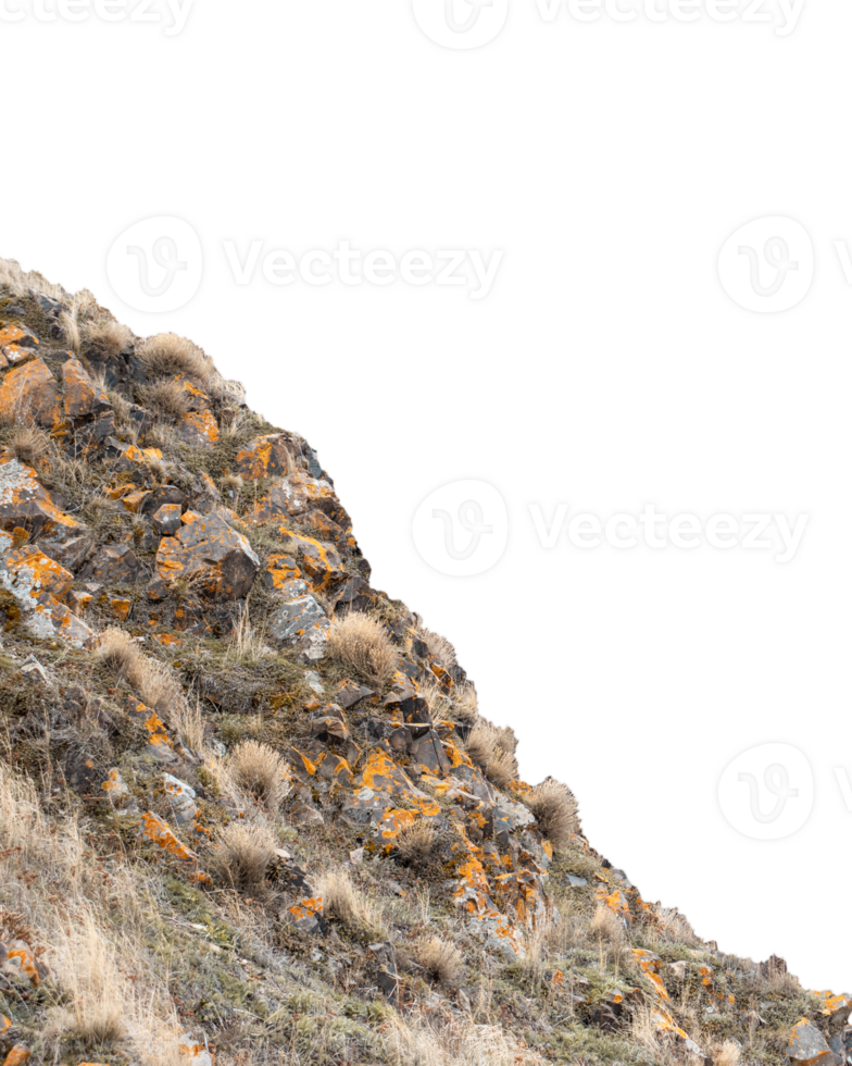 Hill view with rough stones and dry grass concept photo. png