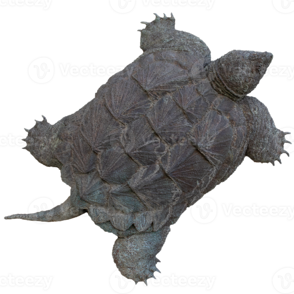 Maritime steel statue - ocean turtle isolated PNG photo with transparent background.