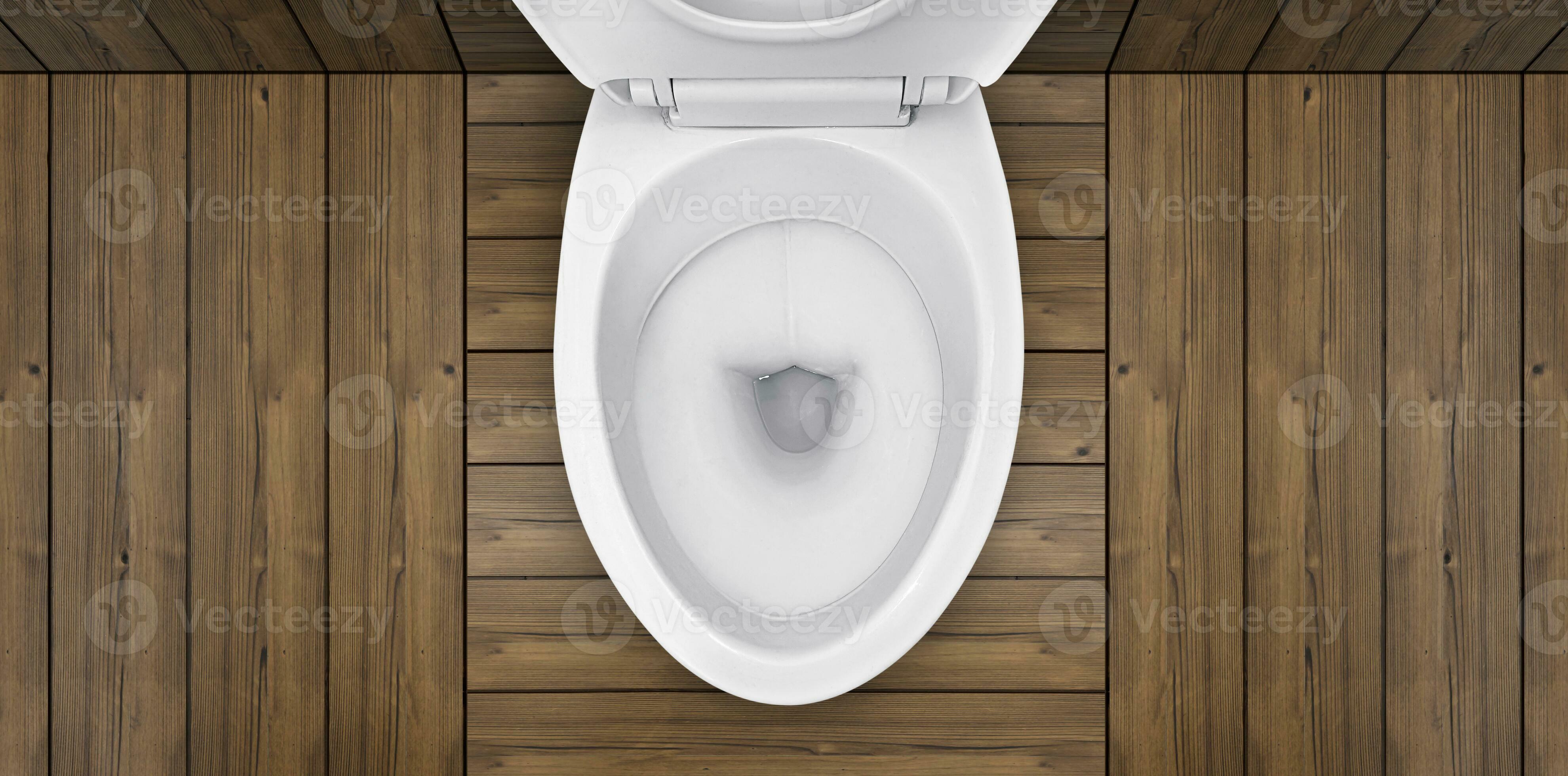 toilet seat top view