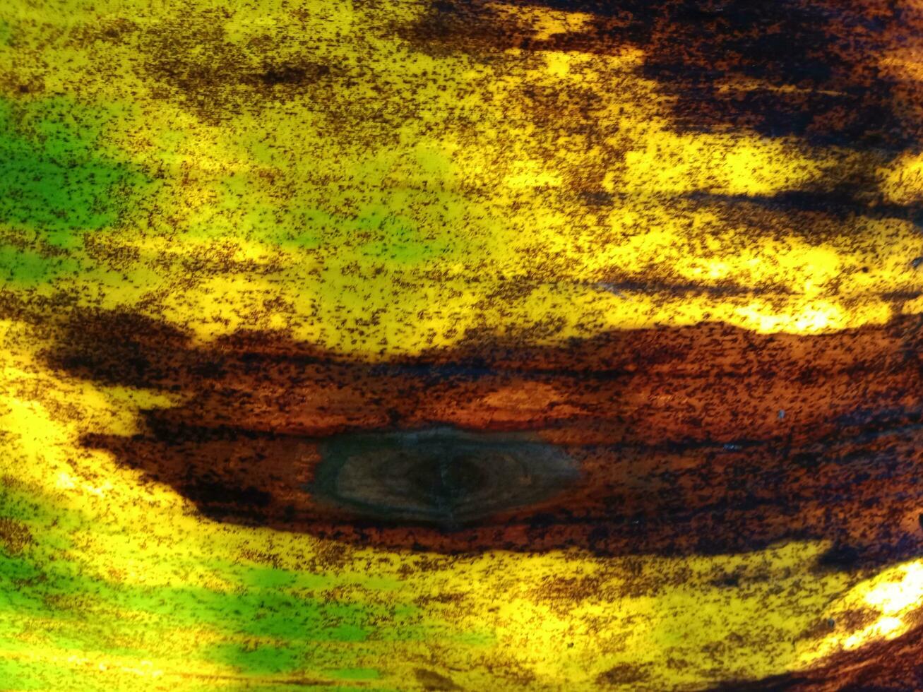 plátano hojas empezado a seco Fresco cuales son bonito con amarillo y marrón lugares. foto