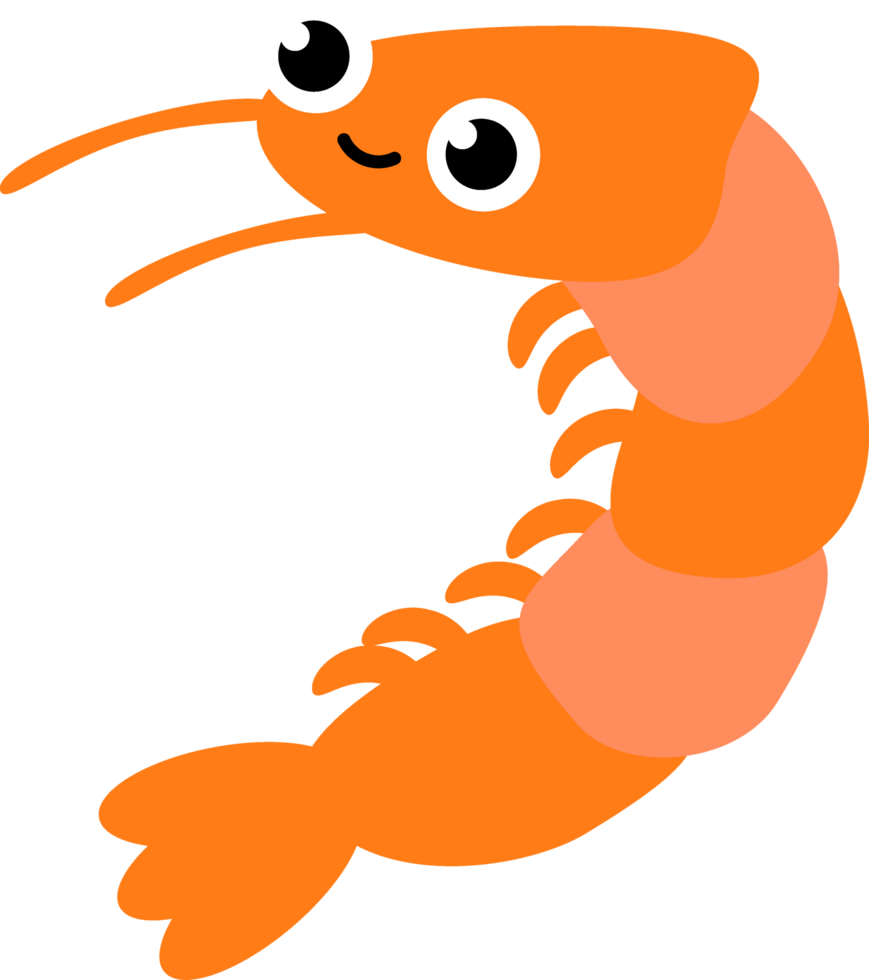 Cute cartoon prawn under the sea animals png