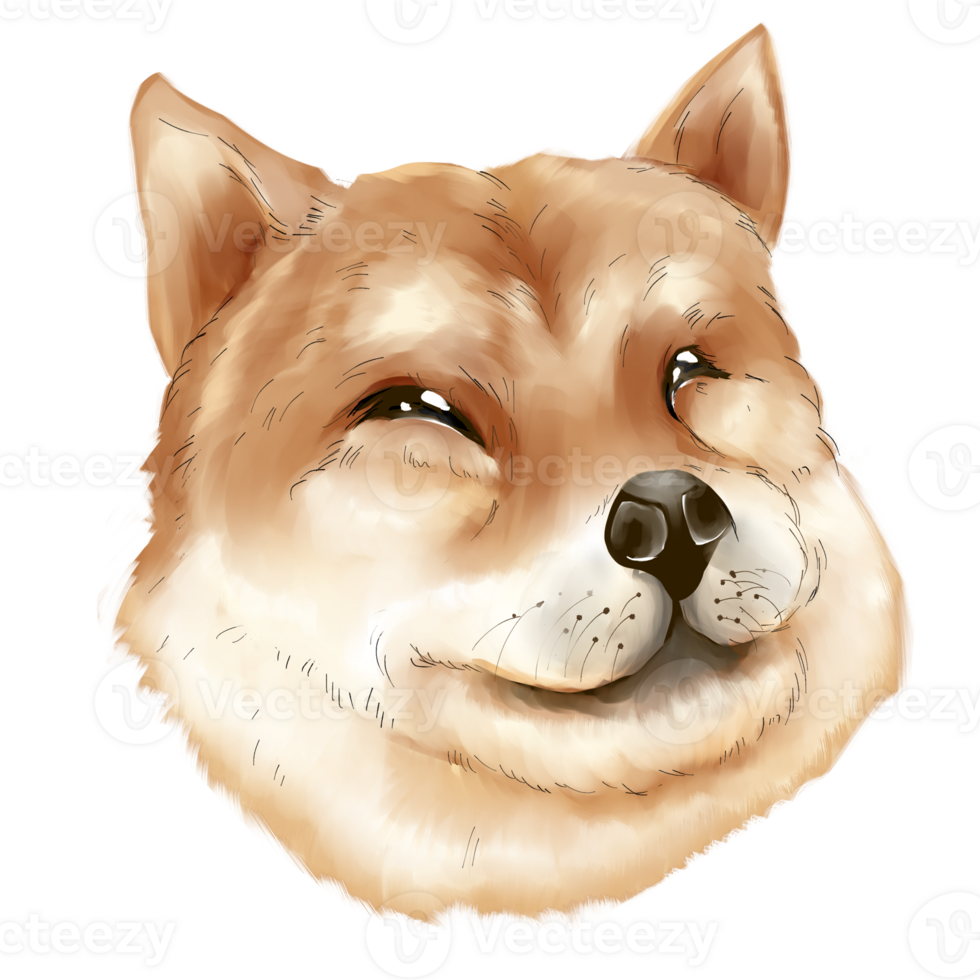 smilling shiba inu head paint style PNG