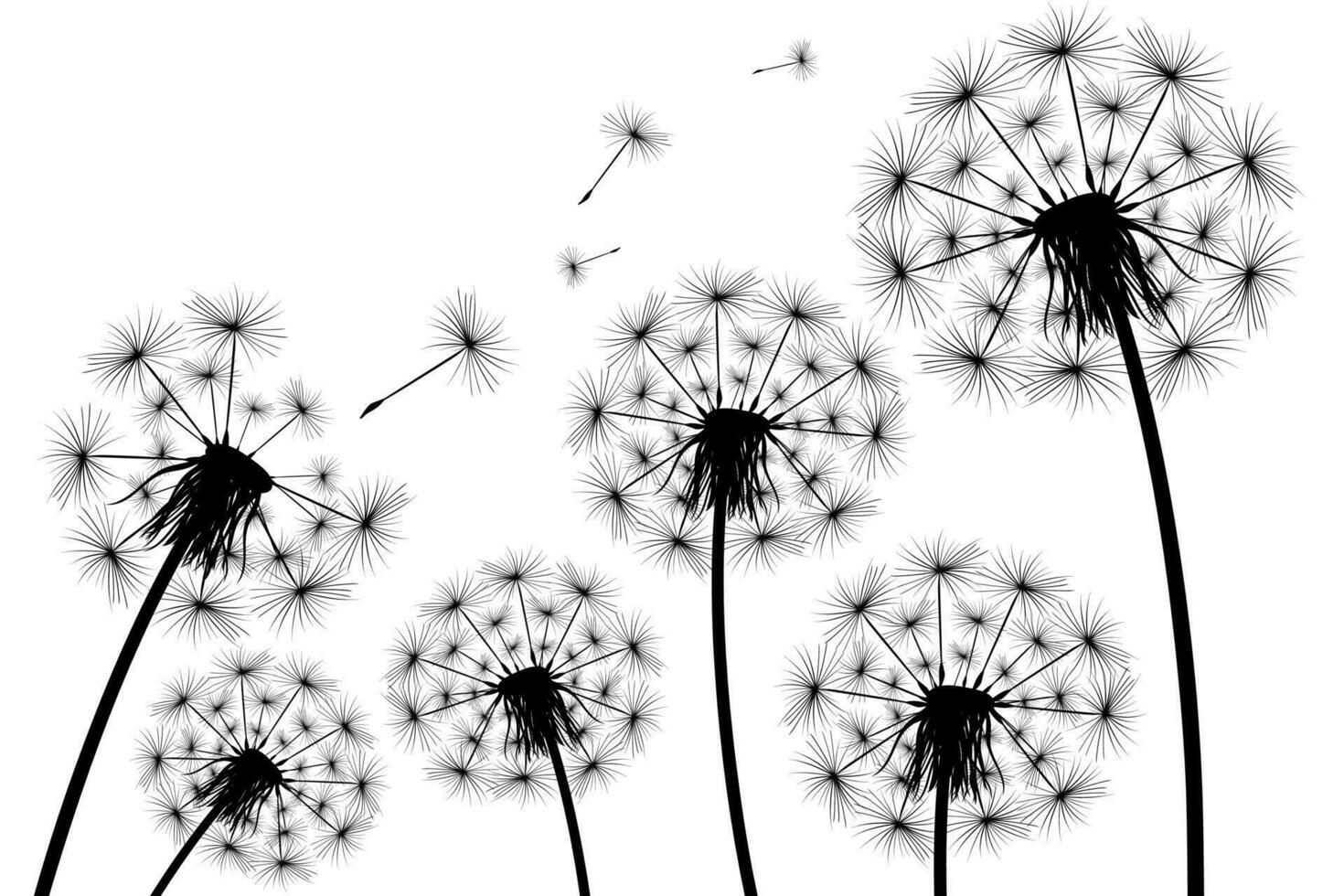 Silhouette of a simple single dandelion vector