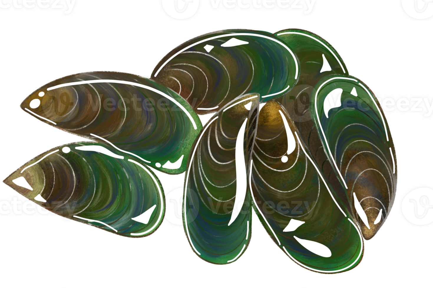 Mussels isolation, drawing mussels, shellfish png