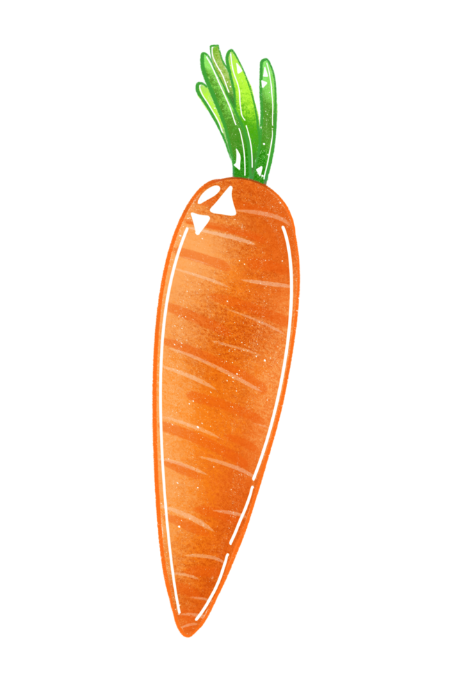 morot isolerat, morot illustration, vegetabiliska png