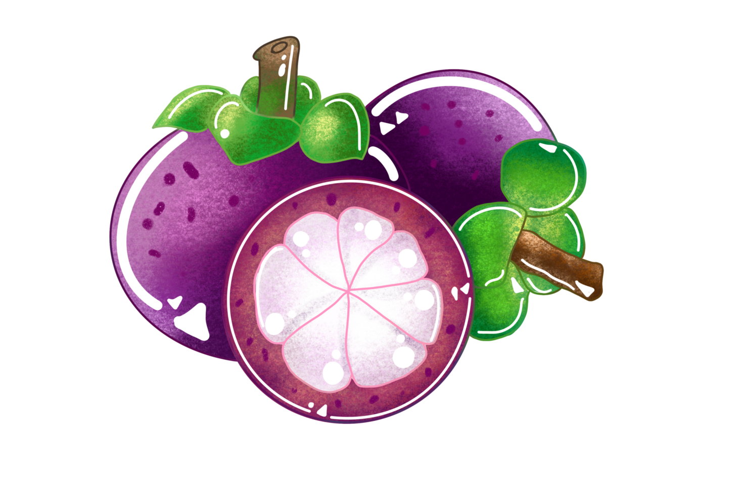 Mangosteen, fruit festival, drawing mangosteen, purple fruit png