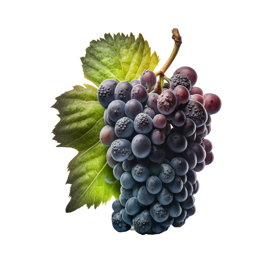 Grape, Grape , Grape Transparent background, png