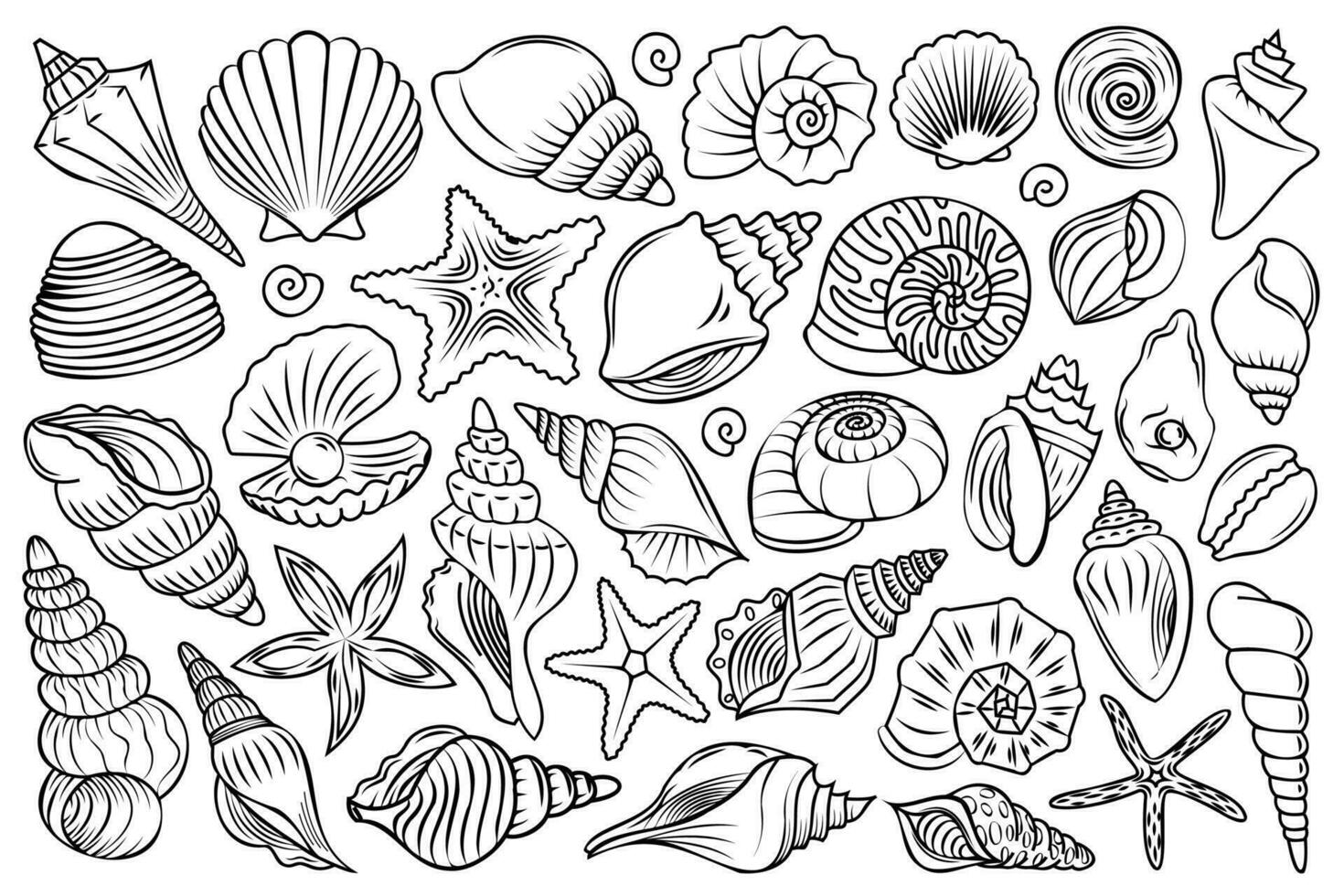 Underwater creatures line art set. Different linear mollusk, starfish, shell, seashell vector illustrations.