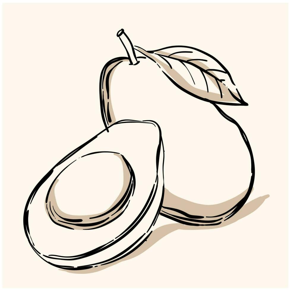 Avocado fruit doodle with background cream vector