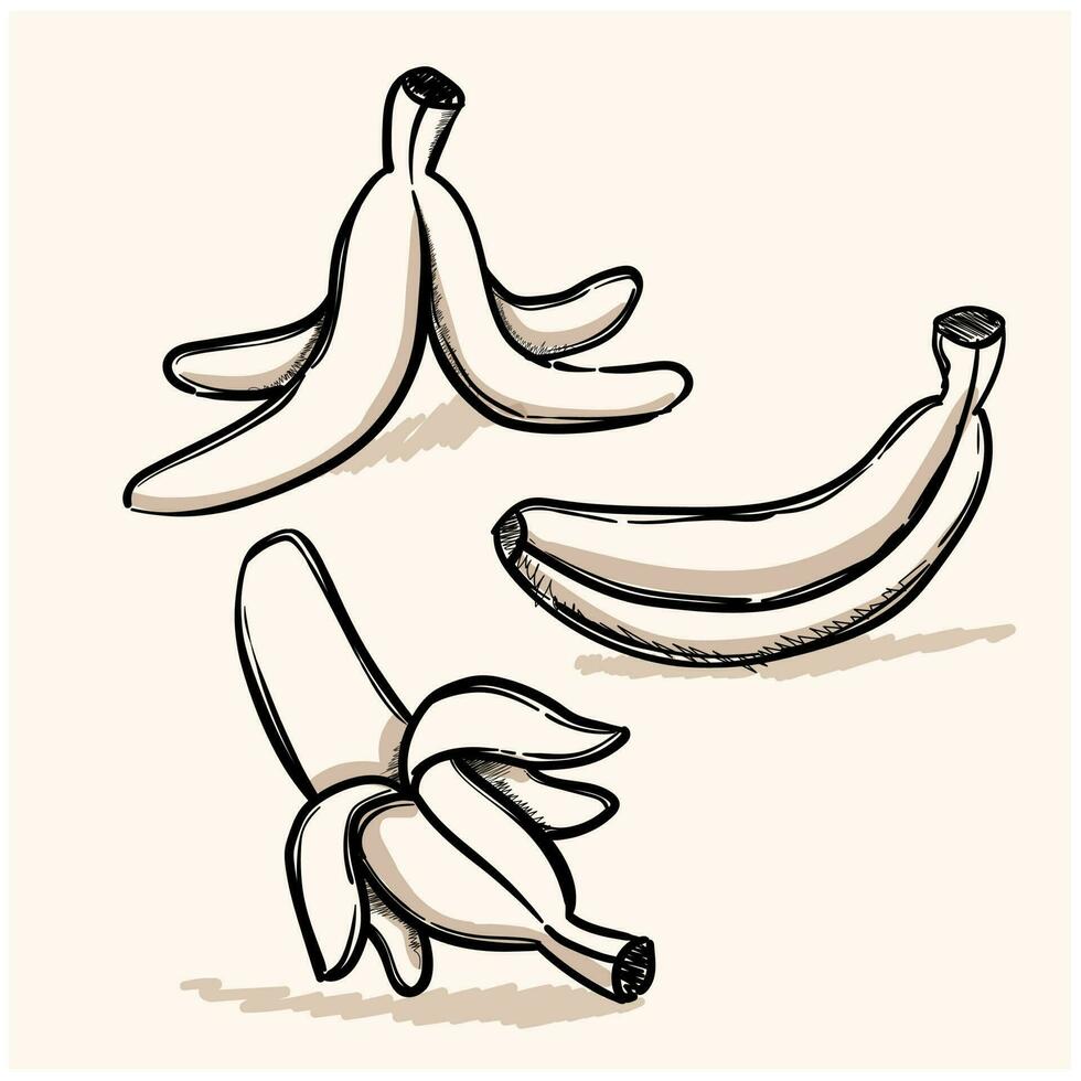 dibujos animados plátano garabatear conjunto soltero piel, pelar y plátano en el suelo. colección de garabatear vector