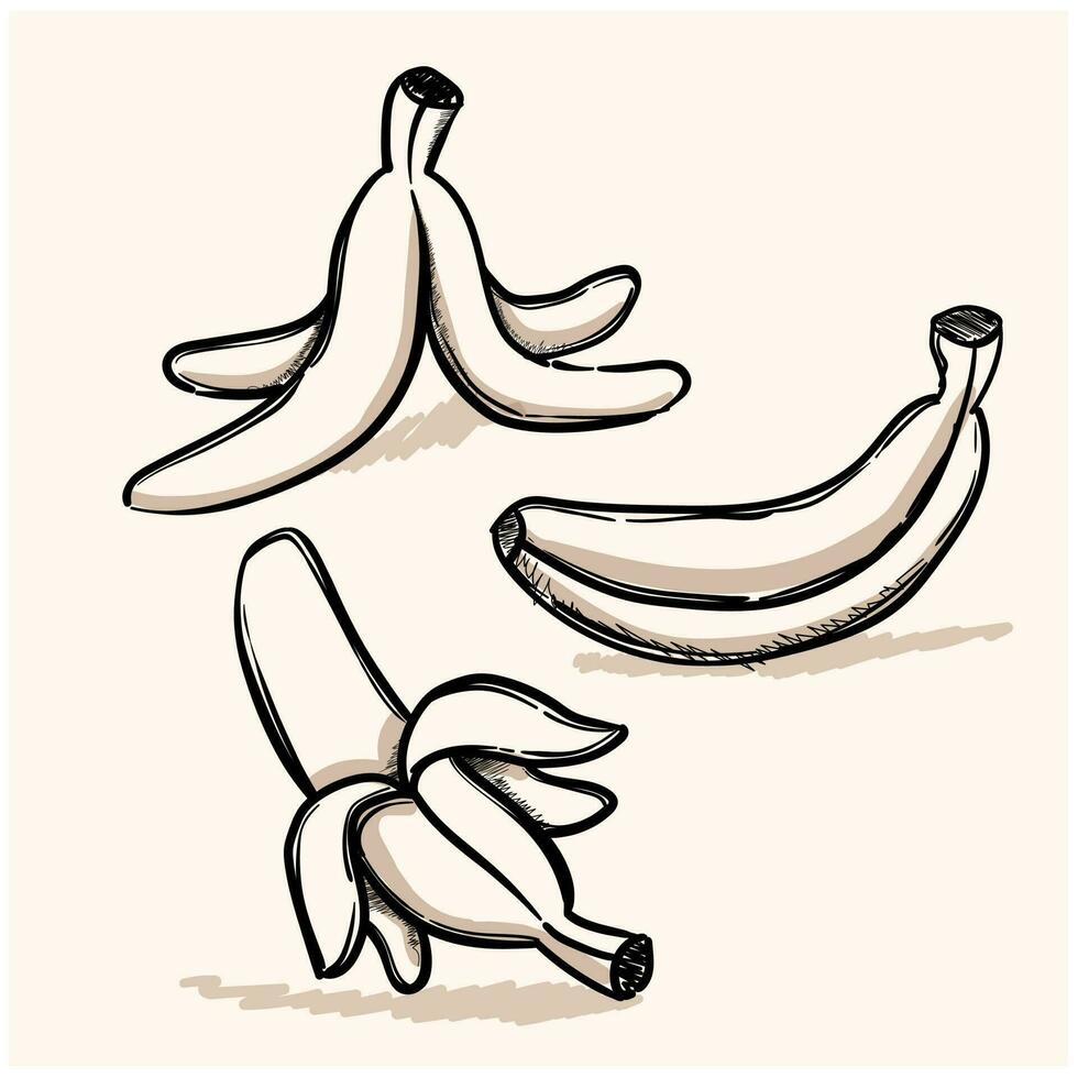 Cartoon banana doodle set single skin, peel and banana on the ground. Collection of doodle vector