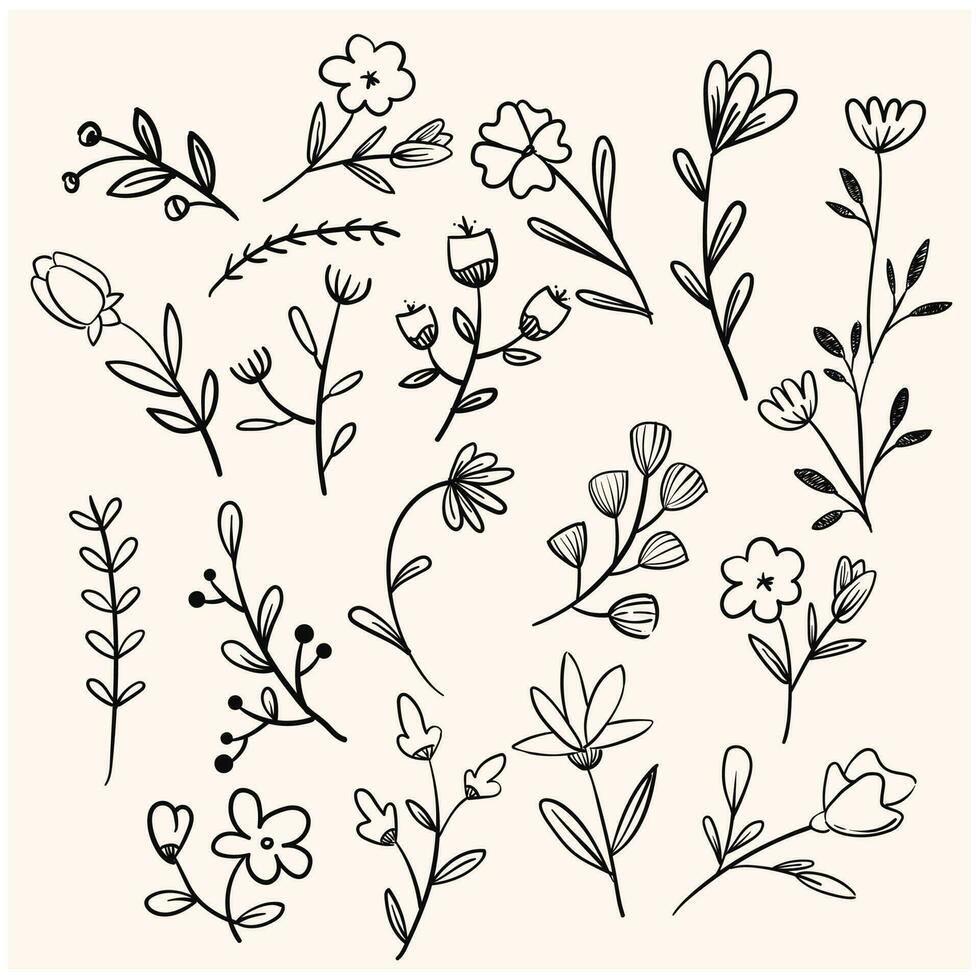 Hand drawn flower and branches doodle vector