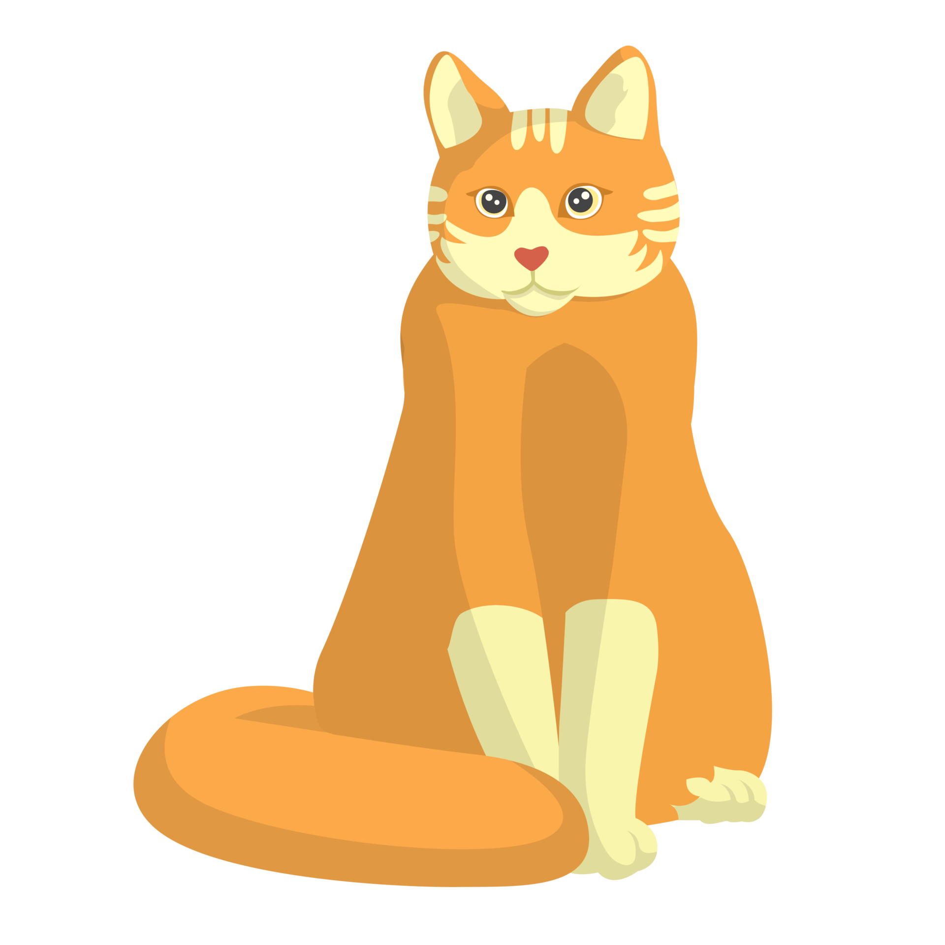 Cat Sit Pose Illustration 24596359 PNG