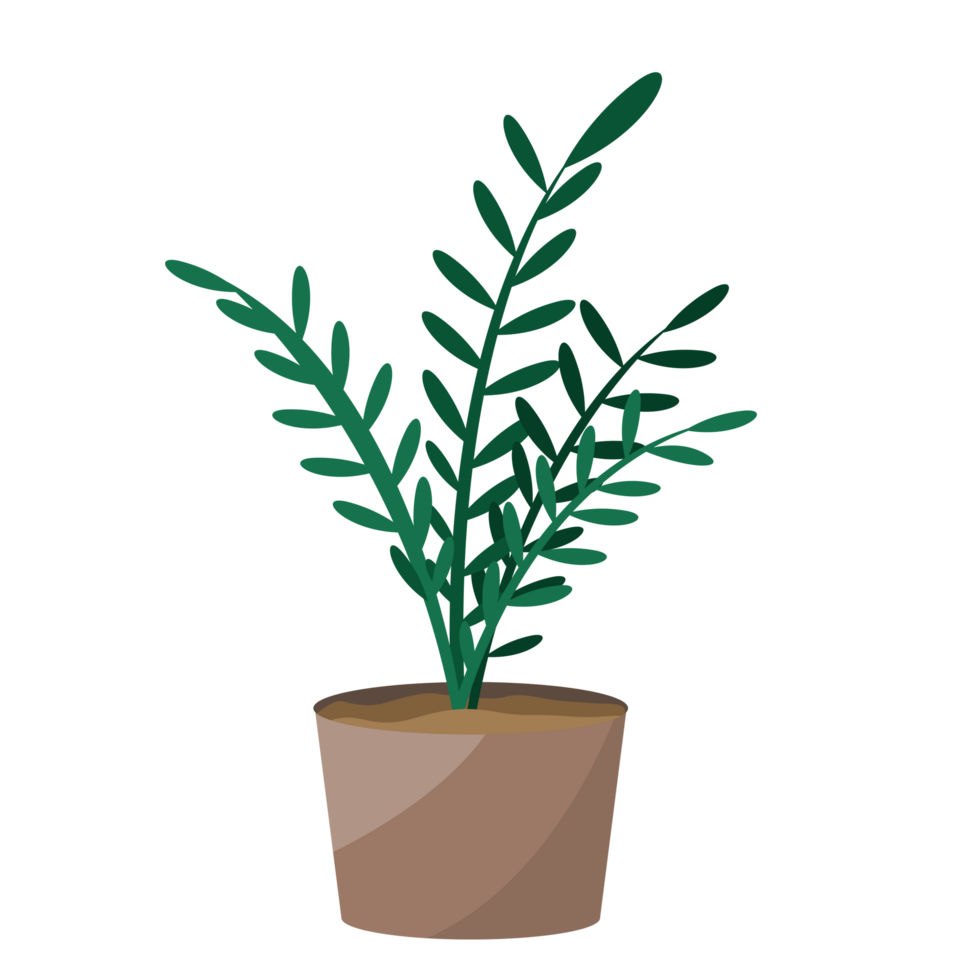 Plant Home Decor Illustration png