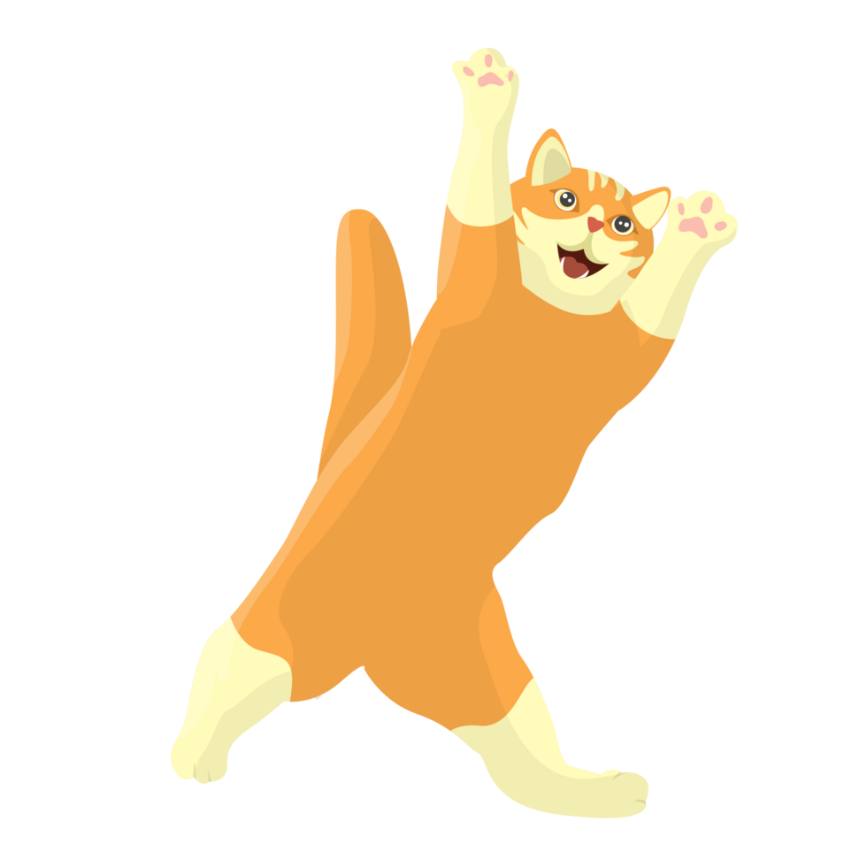 Cat Happy Pose Illustration png