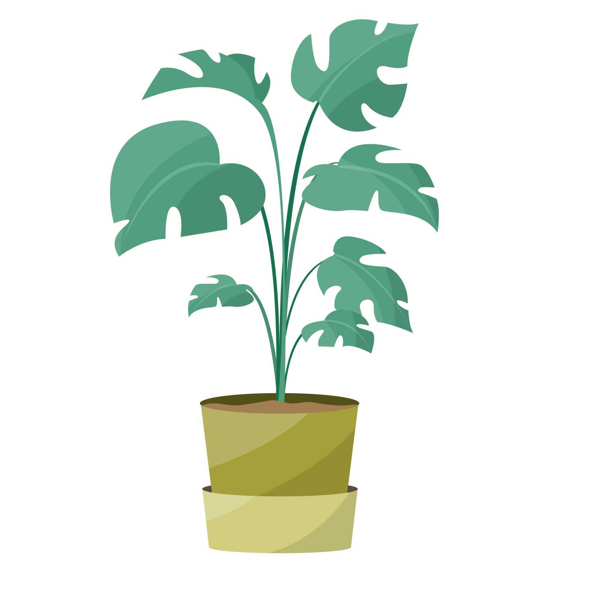 Plant Home Decor Illustration 24596385 PNG