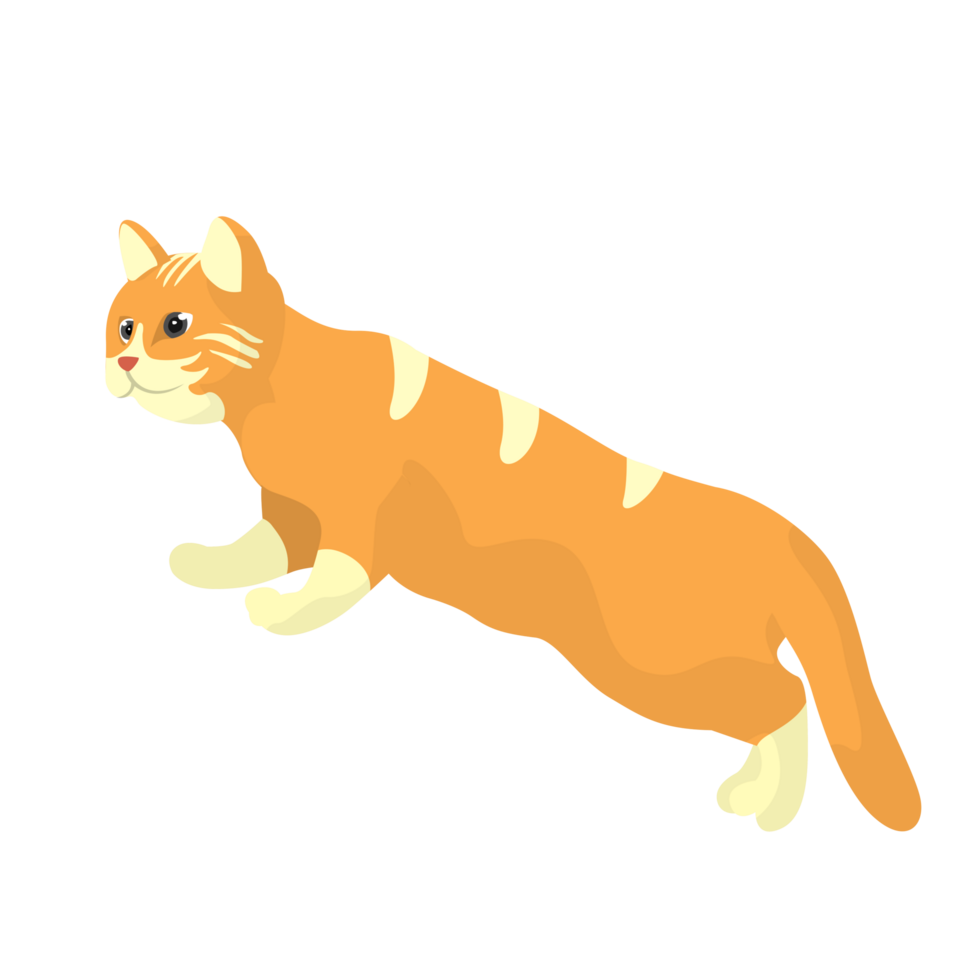 Cat Curiosity Pose Illustration png