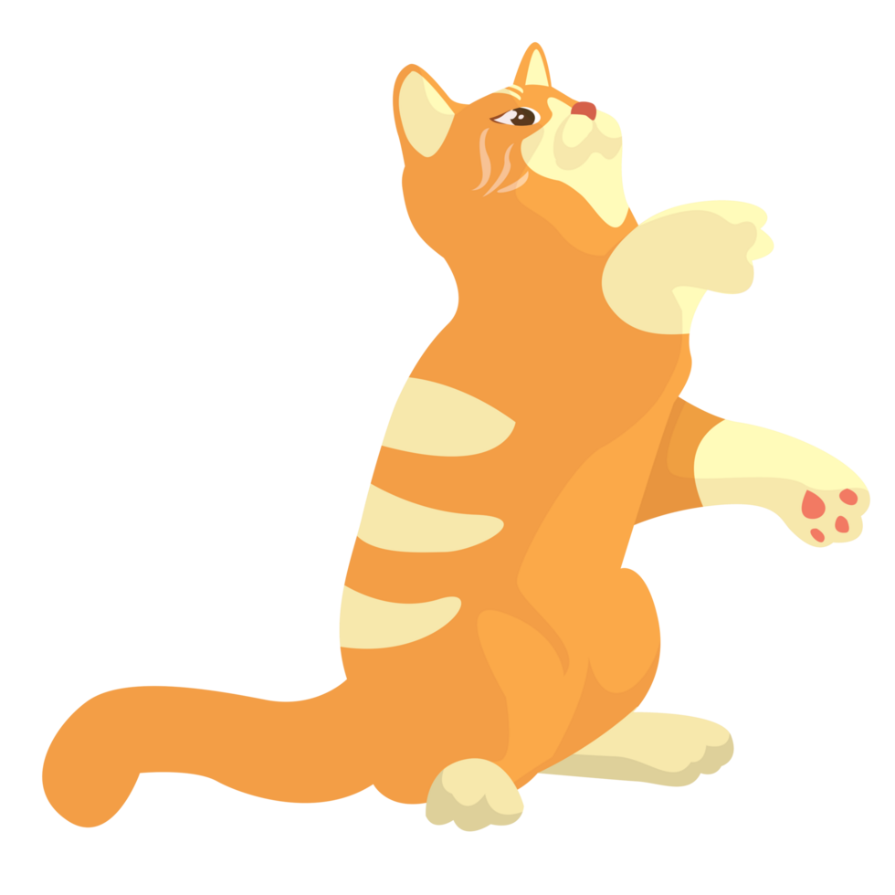 Cat Playing Pose Illustration png