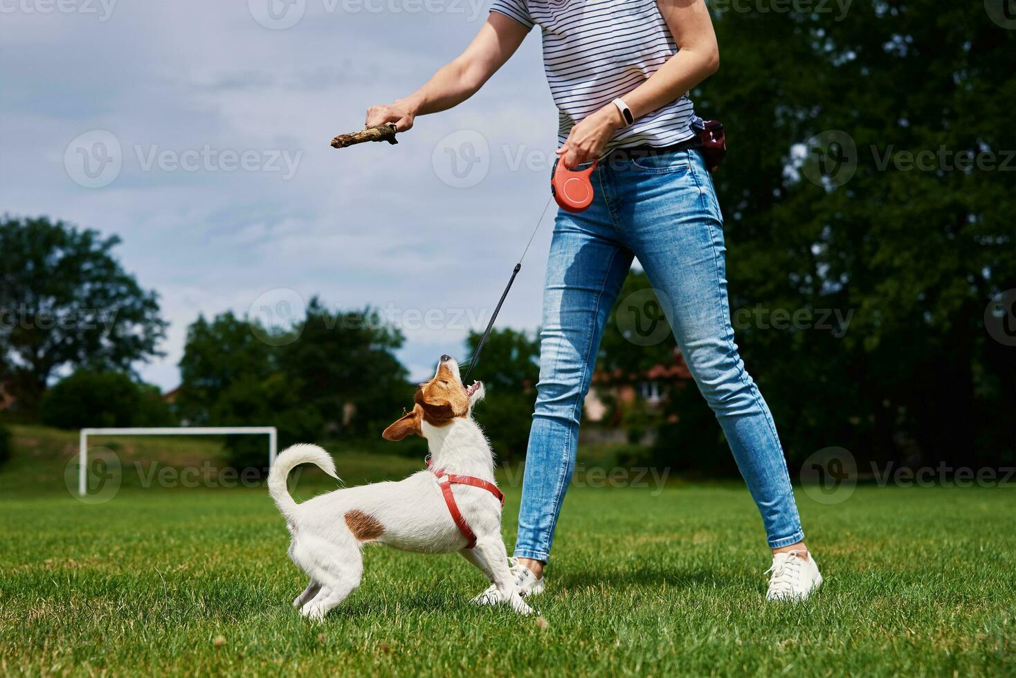 Owner walking dog at green field photo