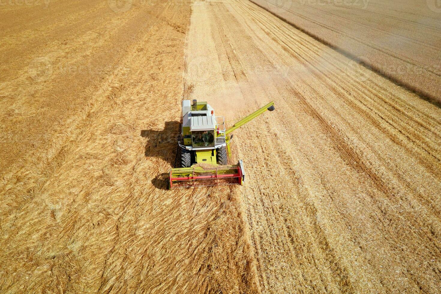 Harvester combine working in the field photo