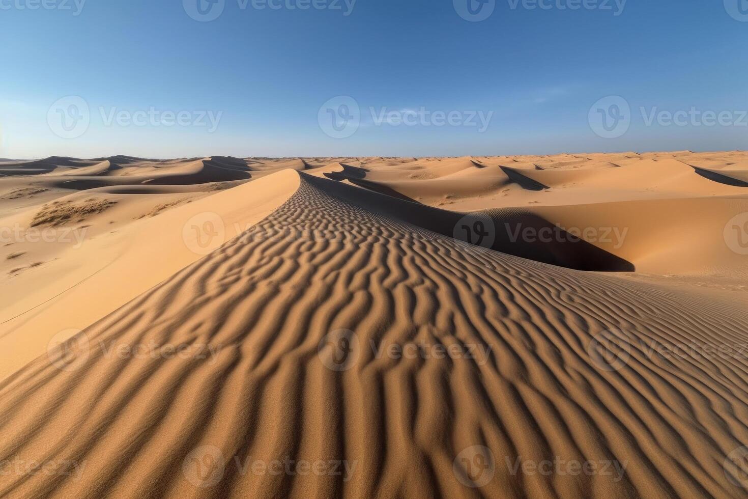 Sand dunes in desert landscape. photo