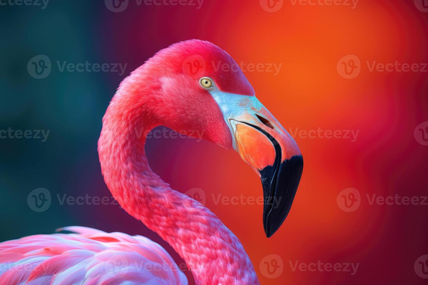 Close up portrait of flamingo bird on pastel colored background. photo