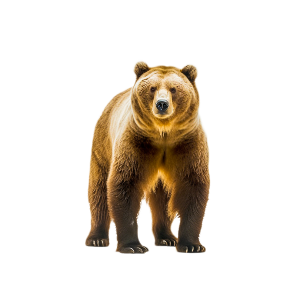 Polar bear png generative ai