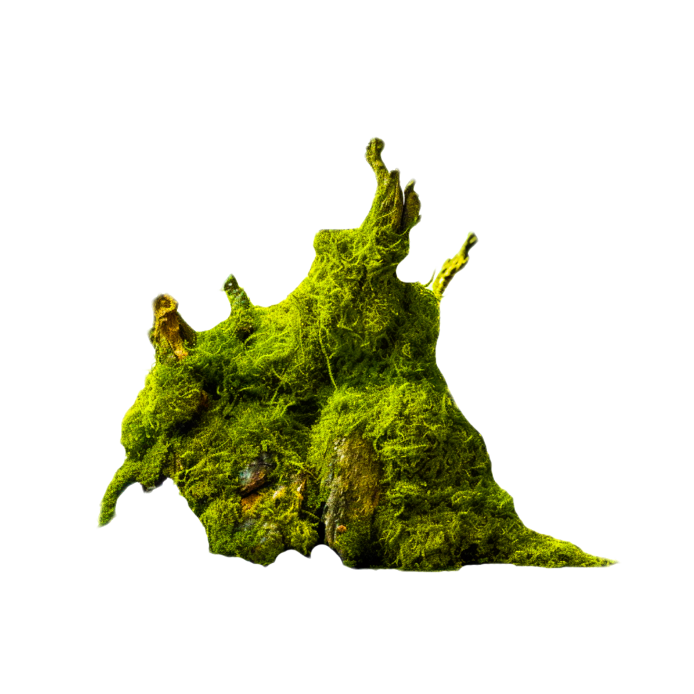 Green mossy hill isolated on transparent background png