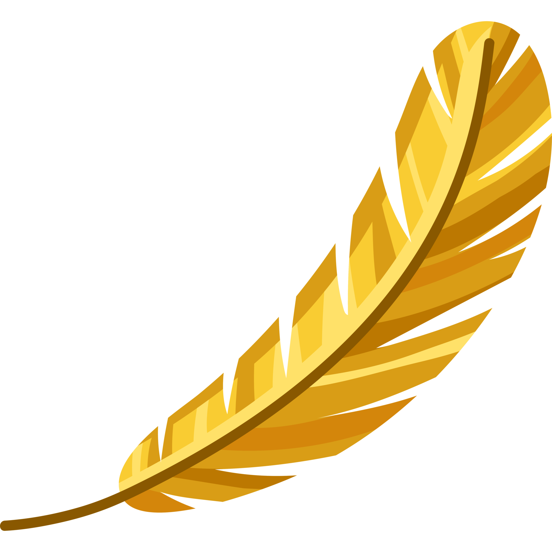 golden feather design 24599586 PNG