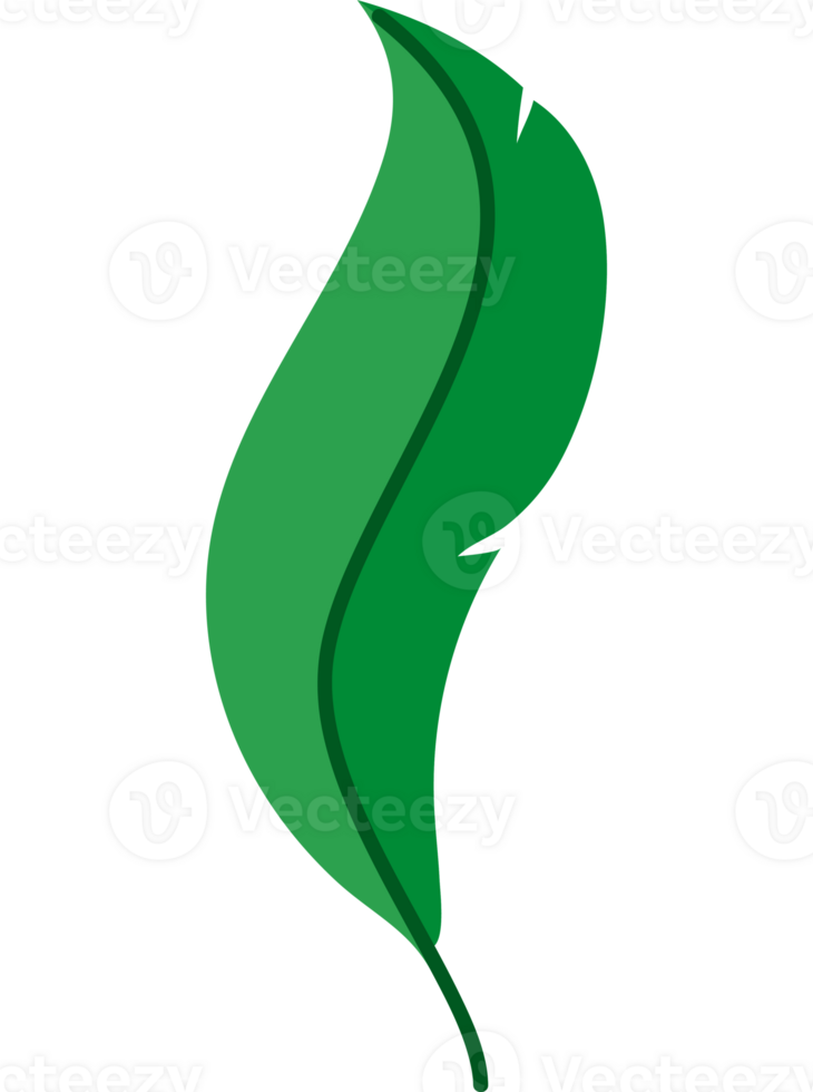 green feather icon  png