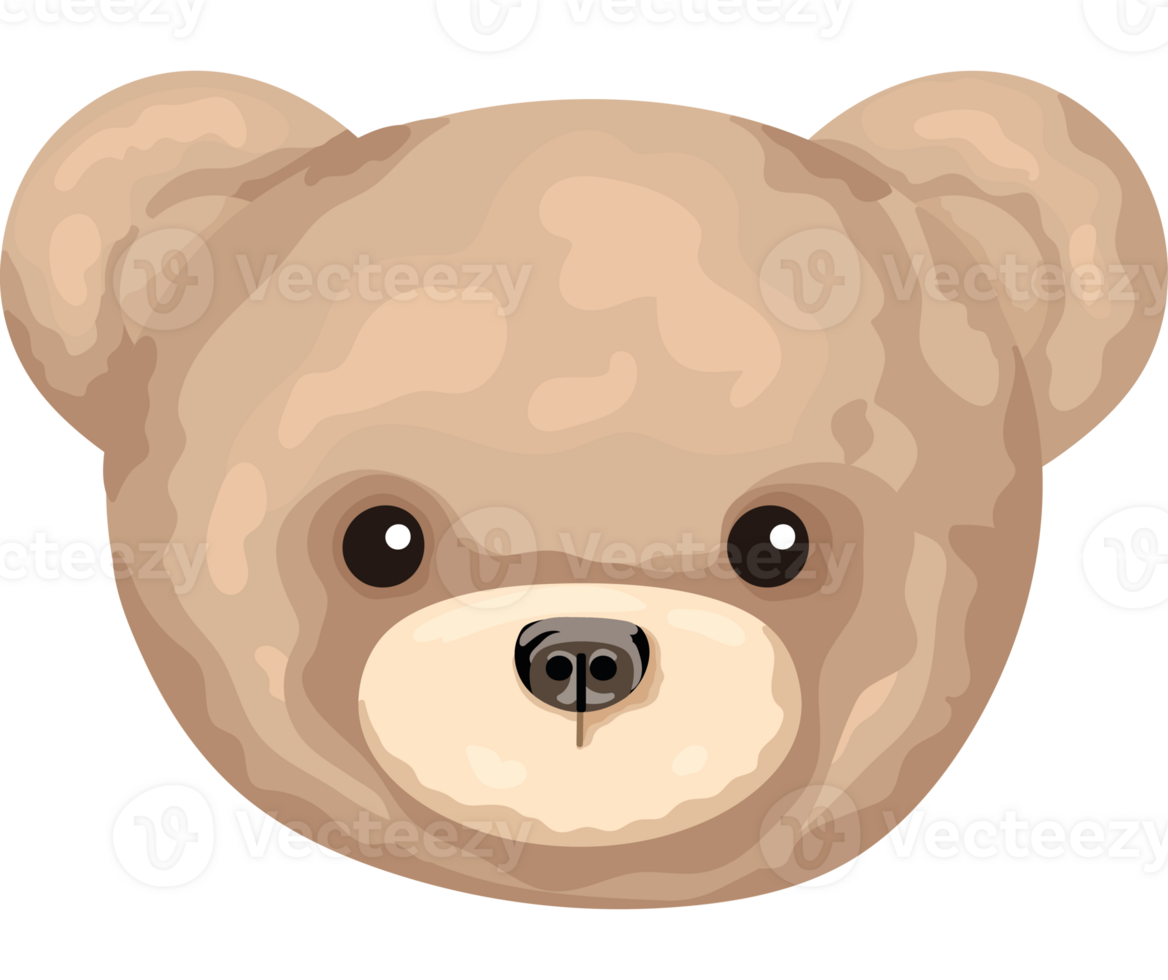 cute face bear  png