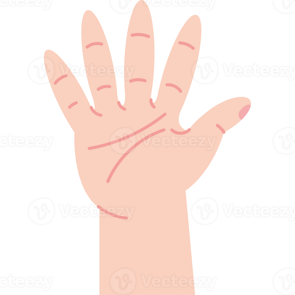 white hand human open icon png