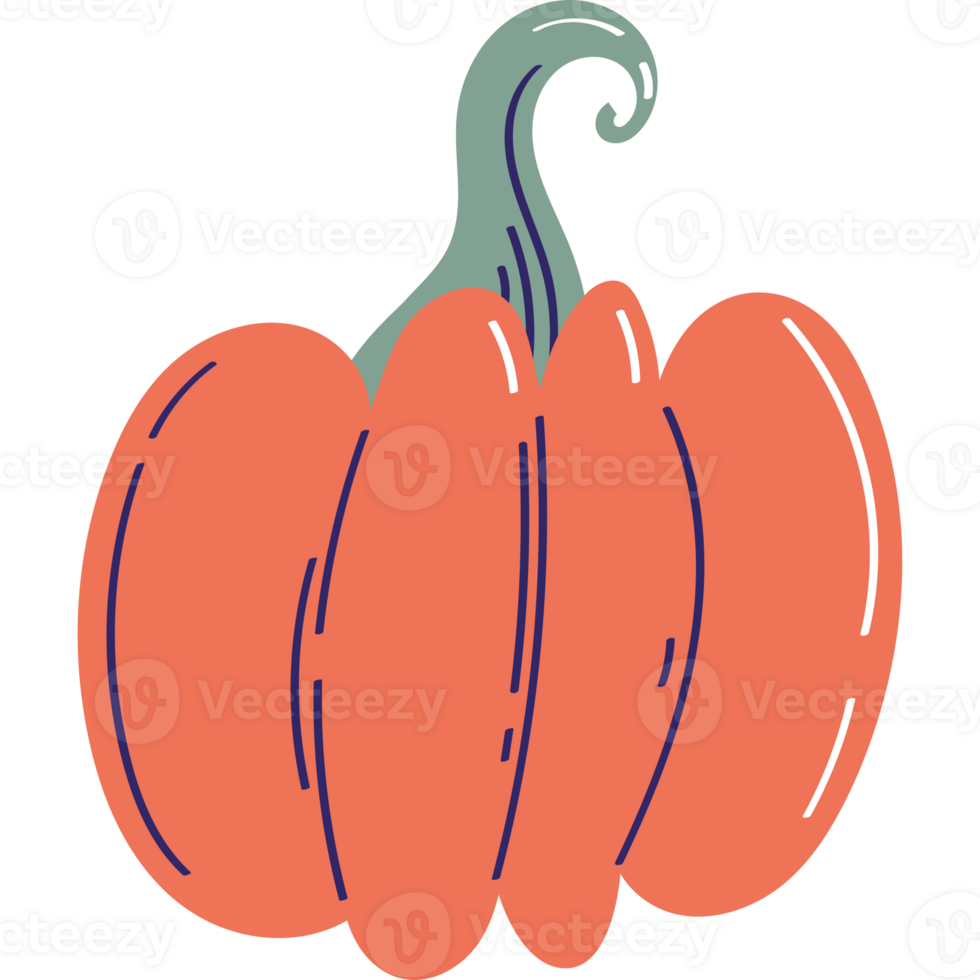 fresh pumpkin vegetable healthy food png
