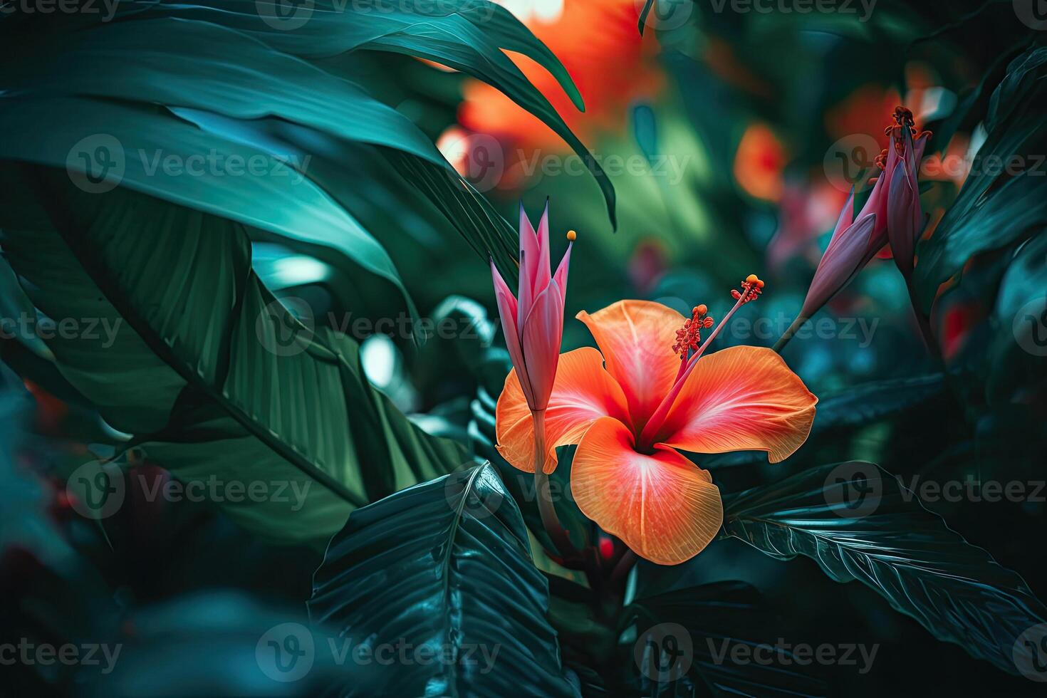 Abstract natural background. Exotic tropical plants pattern. photo