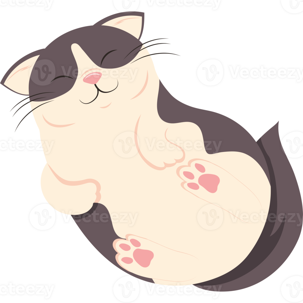 cute little cat feline character png