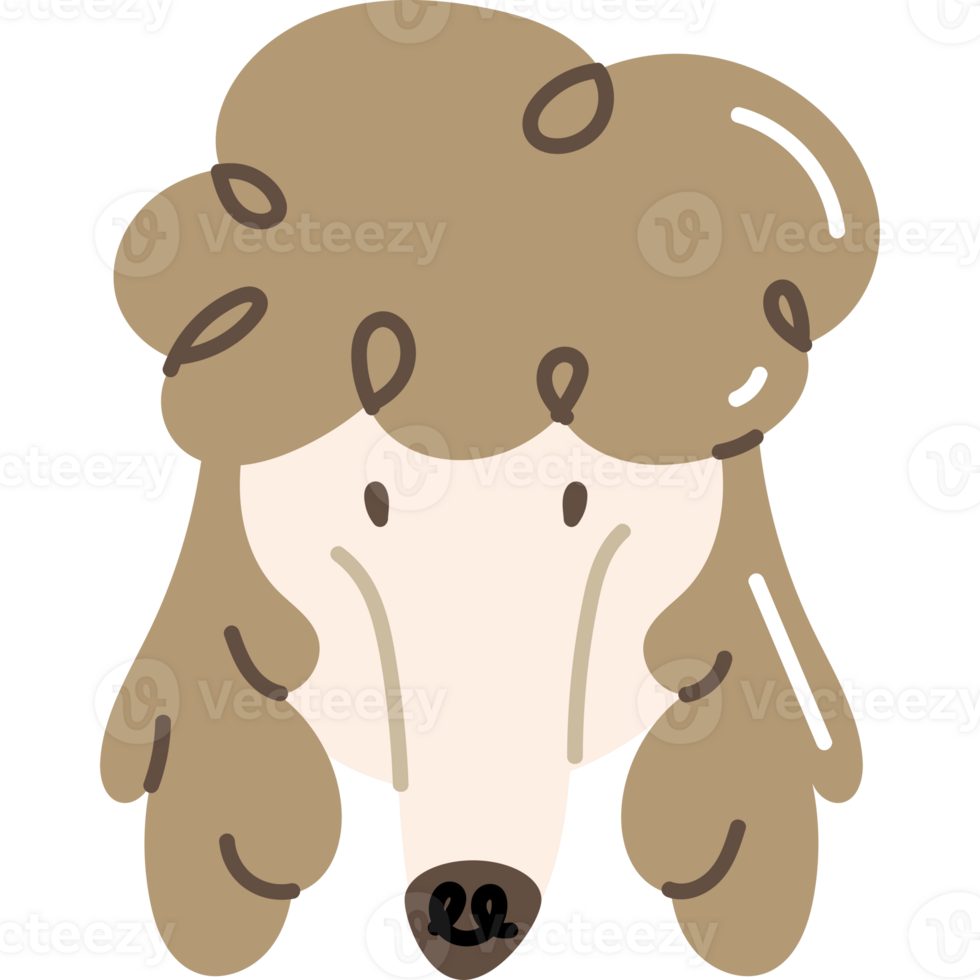 french poodle dog head character png