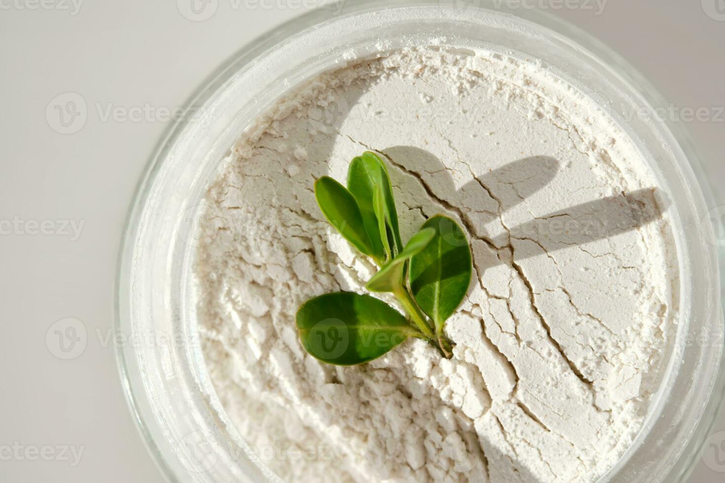 An open jar of facial scrub powder with a green sprig. photo