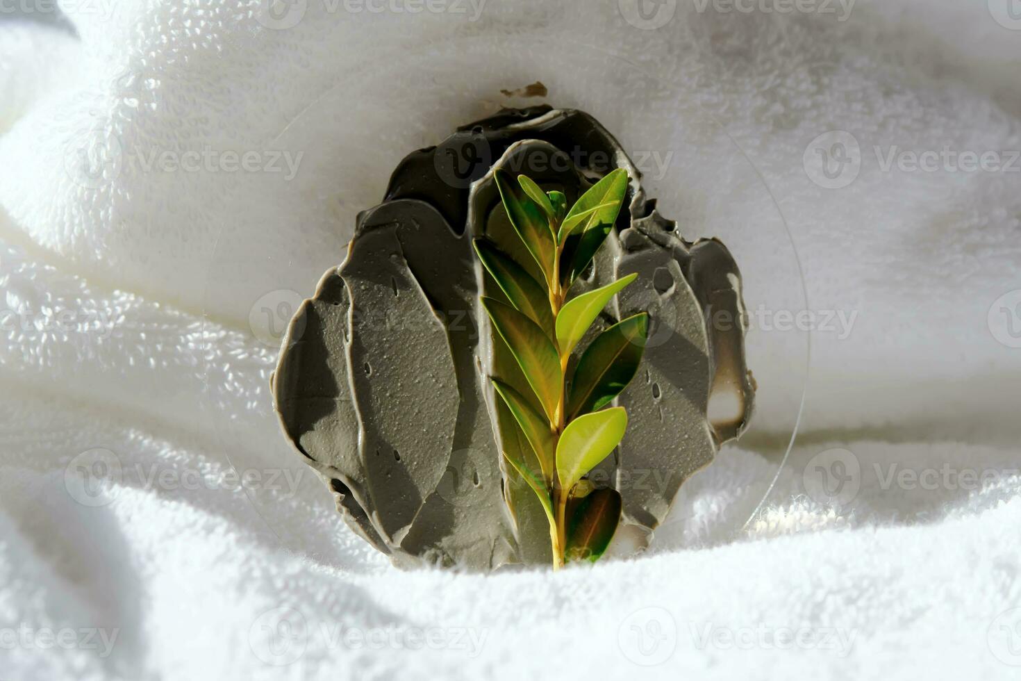 A sample of a mud mask on a terry bath towel with a green sprig. photo