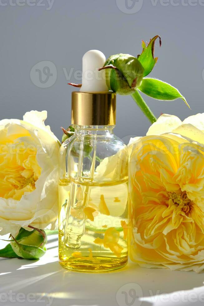 Serum with yellow petals and yellow flowers. photo