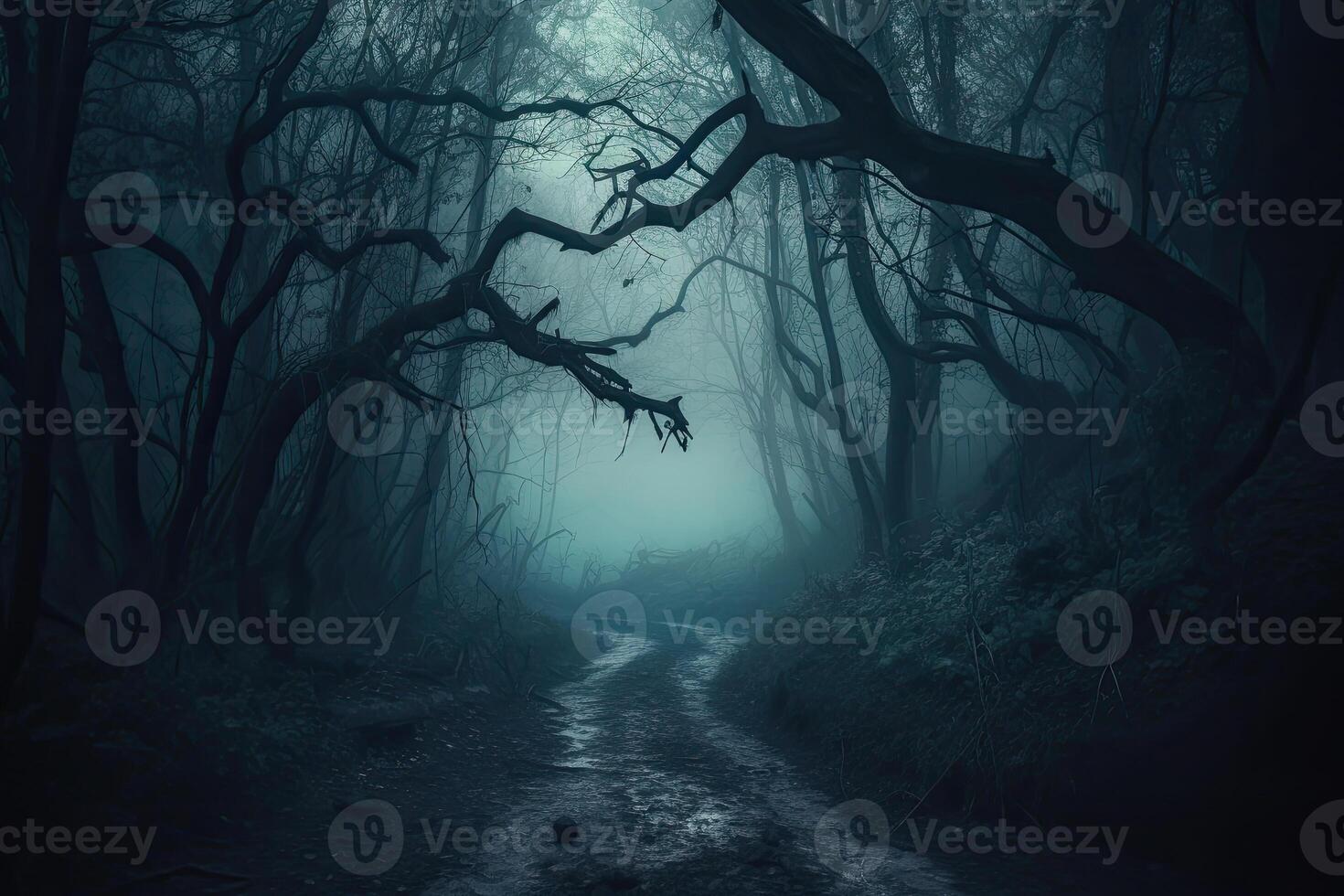 Mystical forest landscape with trees. photo