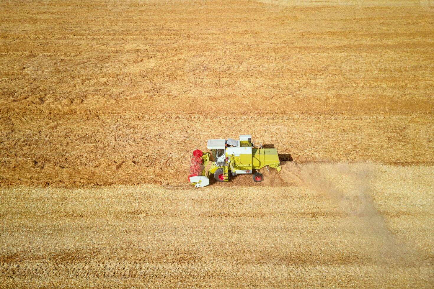 Harvester combine working in the field photo