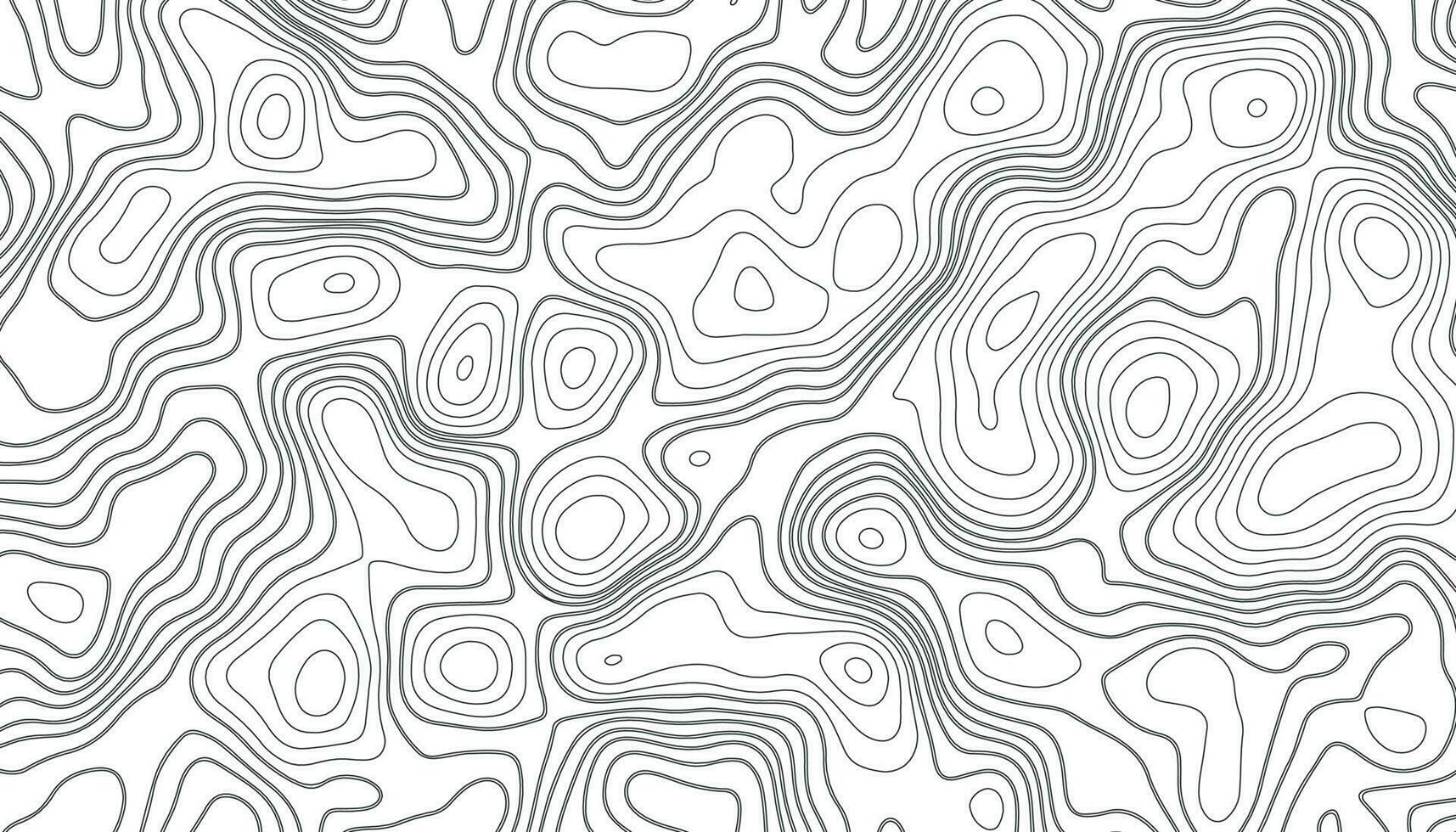 Background of the topographic map. Topographic map lines, contour background. vector