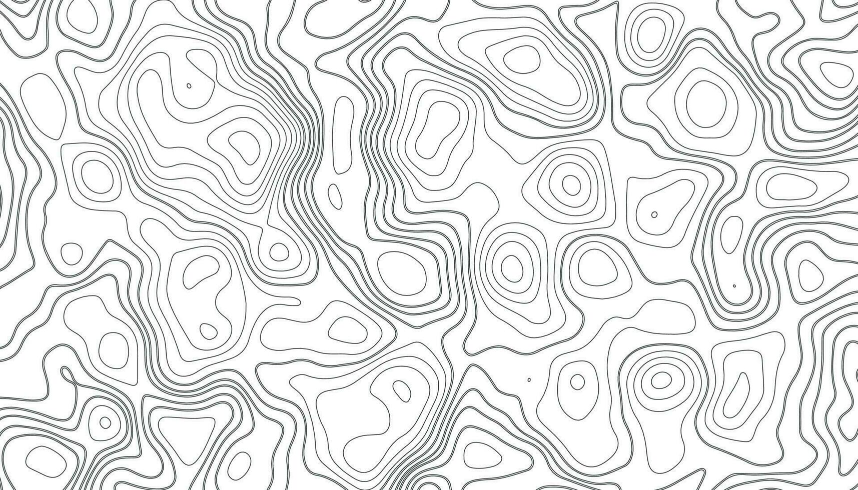 Background of the topographic map. Topographic map lines, contour background. vector