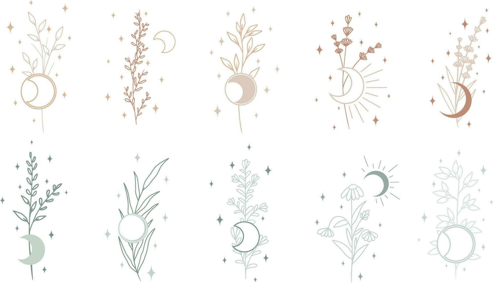 Collection of different plants with stars and moon, minimalistic vector art