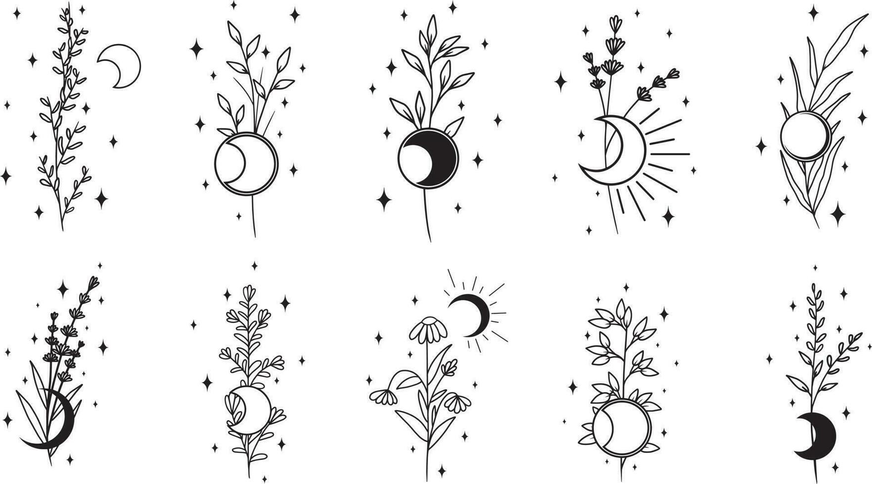 Collection of different plants with stars and moon, minimalistic vector art